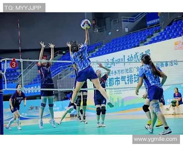 成都排球队排球战术解析与节奏体系的深度剖析