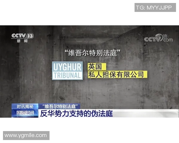 深入分析上海网球队防反战术的独特魅力与实战应用